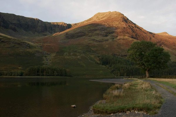 Quelles sont les meilleures pratiques pour la gestion des équipes projet dans un environnement agile ?