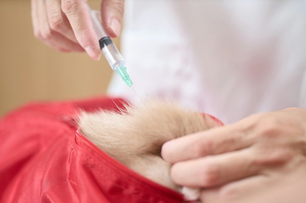 Comment les entreprises peuvent-elles utiliser les données pour améliorer la rétention des talents?